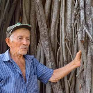 “Cortaram parte da minha vida”, diz homem que plantou árvore em praça