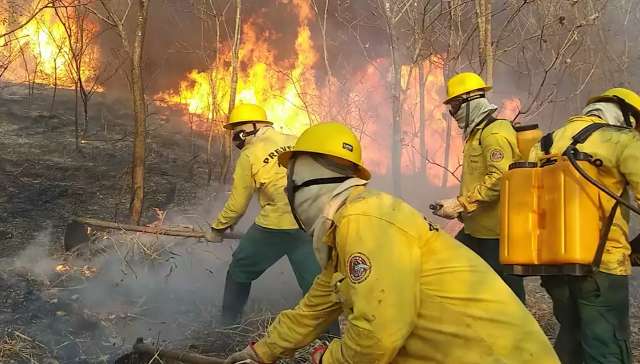 &Aacute;rea queimada do Pantanal em agosto equivale a 30 vezes o tamanho da Capital