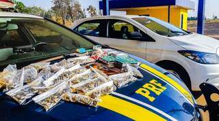 Homem de 52 anos &eacute; preso com mais de 2,7 mil muni&ccedil;&otilde;es na BR-163  