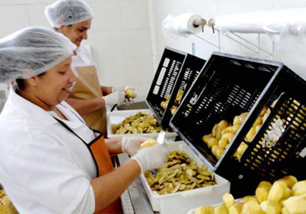 Curso de manipulação de alimentos oferece 60 vagas neste mês