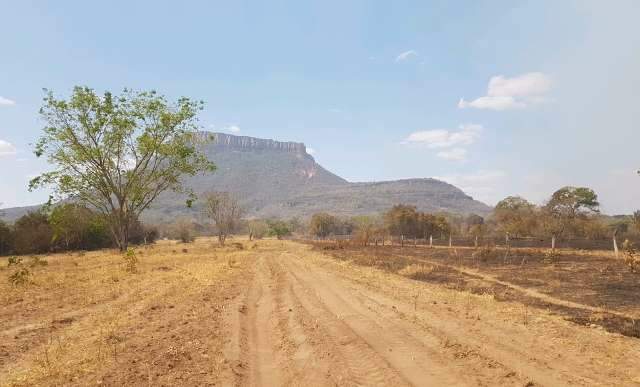 Maior da d&eacute;cada, inc&ecirc;ndio amea&ccedil;a s&iacute;tios arqueol&oacute;gicos de 11 mil anos em MS