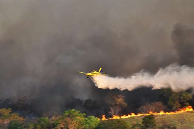 Fogo consome 8,8 mil hectares de vegeta&ccedil;&atilde;o no Parque do Rio Taquari