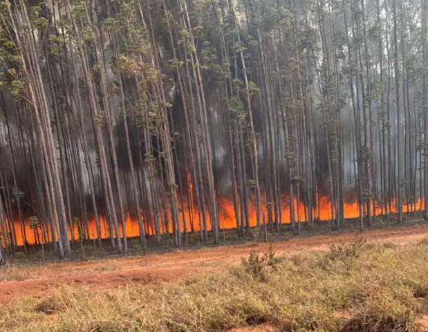 Fogo e fuma&ccedil;a se espalham por Campo Grande no domingo quente