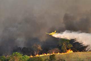 Incêndio no Parque Estadual das Nascentes do Rio Taquari (Foto: Divulgação/Governo do Estado)