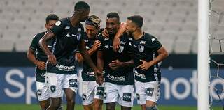 Jogadores do Botafogo comemoram gol durante Brasileiro (Foto: Divulgação - Botafogo)