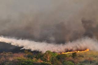 Incêndio consumiu mais de 4 mil hectares do Parque Estadual das Nascentes do Rio Taquari (Foto: Divulgação/Governo do Estado)