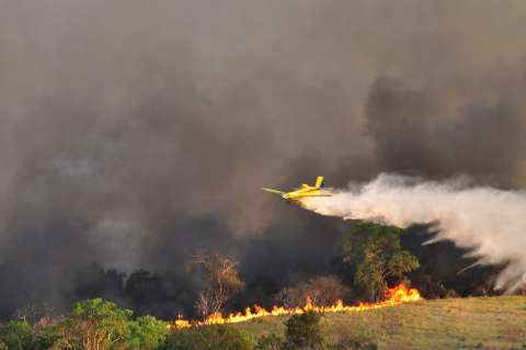 União reconhece situação de emergência em MS por fogo no Pantanal e cerrado