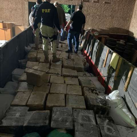 Carreta apreendida com sementes de girassol transportava 11 t de maconha
