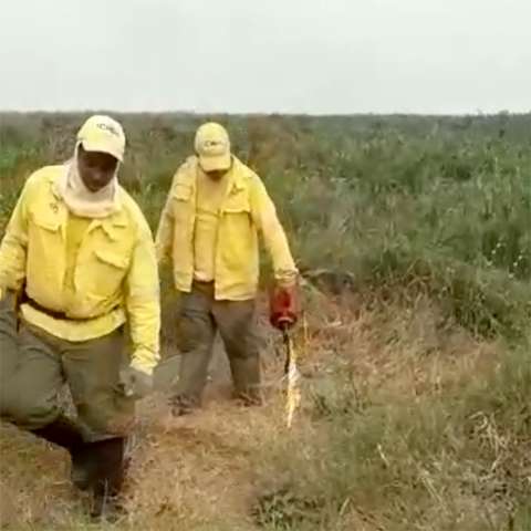 Brigadista coloca fogo no Pantanal e desperta d&uacute;vida: &quot;Pode isso?&quot;