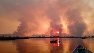 Área de vegetação do Pantanal é consumida pelo fogo (Foto: Reinaldo Nogales/Ecoa)