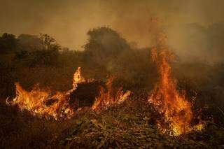 Fogo queima a vegetação do Pantanal, no Mato Grosso. Pela estrada até Poconé, primeiro município da região pantaneira a partir da capital, é possível ver a devastação do fogo que consome a vegetação nativa desde julho. Foto: Dida Sampaio/Estadão Conteúdo