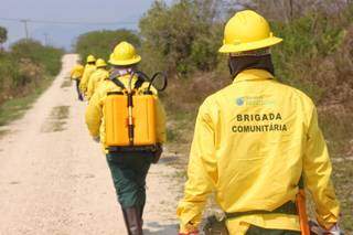 Campanha busca recursos para Brigada fixa na Serra do Amolar e também no Porto do Jofre; moradores têm sido treinados por equipes do Prevfogo (Foto: Elias Campos Ecoa)