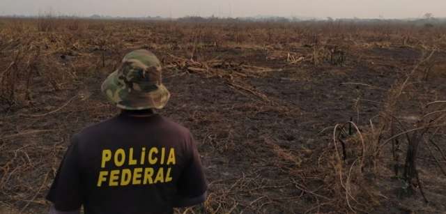 Per&iacute;cia deve ajudar na identifica&ccedil;&atilde;o dos respons&aacute;veis por fogo no Pantanal