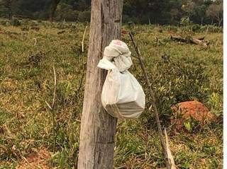 Bolsa com medicamentos deixados perto da mata não foi retirada por guerrilheiros (Foto: ABC Color)