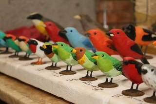 O &#34;aviário&#34; de Rodrigo tem todos os tipos, tamanhos e cores de passarinhos, por R$ 8 cada unidade (Foto: Kísie Ainoã)