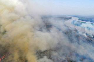 Incêndios se intensificaram no Pantanal no mês de julho (Foto: Divulgação/Governo do Estado)