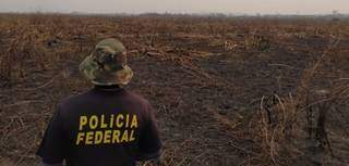 Operação Matáá vistoriou propriedade de cinco fazendeiros da região (Foto: Divulgação)