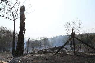Parte do terreno na rua Vítor Meireles ainda estava com fogo depois de dois dias com incêndio. (Foto: Kísie Ainoã)