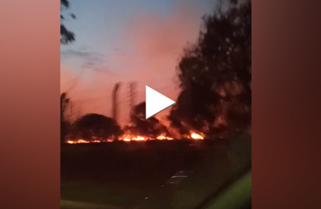 &Aacute;reas do Veraneio e Taquaral Bosque pegam fogo na madrugada