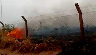 Imagem do terreno em chamas proximo a Uniderp Agrárias. (Foto: Direto das Ruas)  