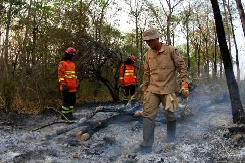 Bombeiros retomam combate ao fogo na Nhecolândia com reforço de militares do PR
