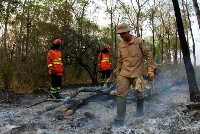 Bombeiros retomam combate ao fogo na Nhecol&acirc;ndia com refor&ccedil;o de militares do PR