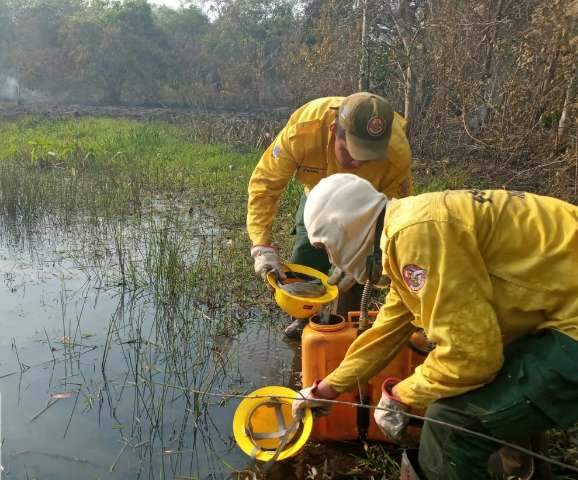 Fogo no Pantanal avan&ccedil;a, atinge terras ind&iacute;genas e brigadas atuam noite adentro