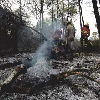 Número de focos de incêndio no Pantanal é o maior em 22 anos
