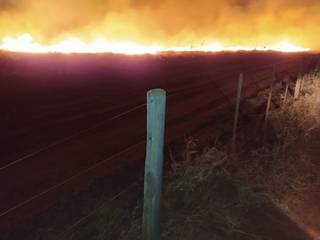 Área de vegetação tomada pelo fogo (Foto: Corpo de Bombeiros)