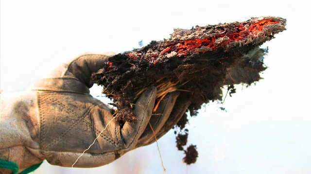 Com chuva se aproximando, raios e vegeta&ccedil;&atilde;o seca ampliam risco de fogo