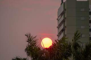 Sol nascendo em Campo Grande mais parece uma bola de fogo (Foto: Henrique Kawaminami)