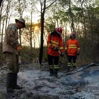 Força-tarefa fez efeito, diz governo, e chamas são controladas no Pantanal de MS