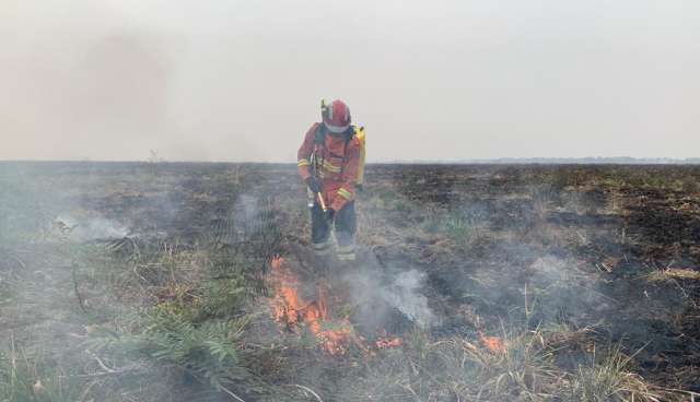 No rastro do fogo, brigadistas e bombeiros percorreram 250km combatendo focos  