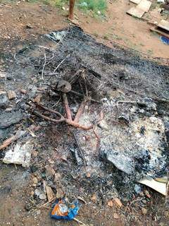 Ao chegarem na casa, policiais encontraram vários objetos sendo queimados no quintal. (Foto: Promuse PM)