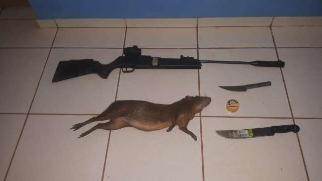Ca&ccedil;ador &eacute; flagrado com cutia morta, vai preso e recebe multa de R$ 5 mil  