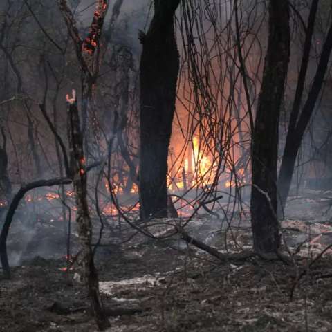 Cidade em chamas: queimada atr&aacute;s do Parque dos Poderes consome terreno