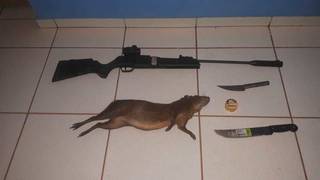 Cutia abatadia, espingarda e facas que caçador utilizavam para cometer crime ambiental (Foto: Divulgação/PMA)