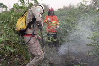 Bombeiros combatendo foco de incêndio no Pantanal. (Foto: Chico Ribeiro) 