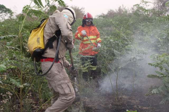 For&ccedil;a-tarefa reduz focos de inc&ecirc;ndios, mas equipes continuam em alerta