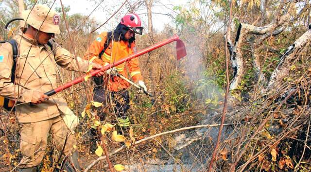 Valor de multas por inc&ecirc;ndios at&eacute; setembro j&aacute; &eacute; 43% maior, diz governo