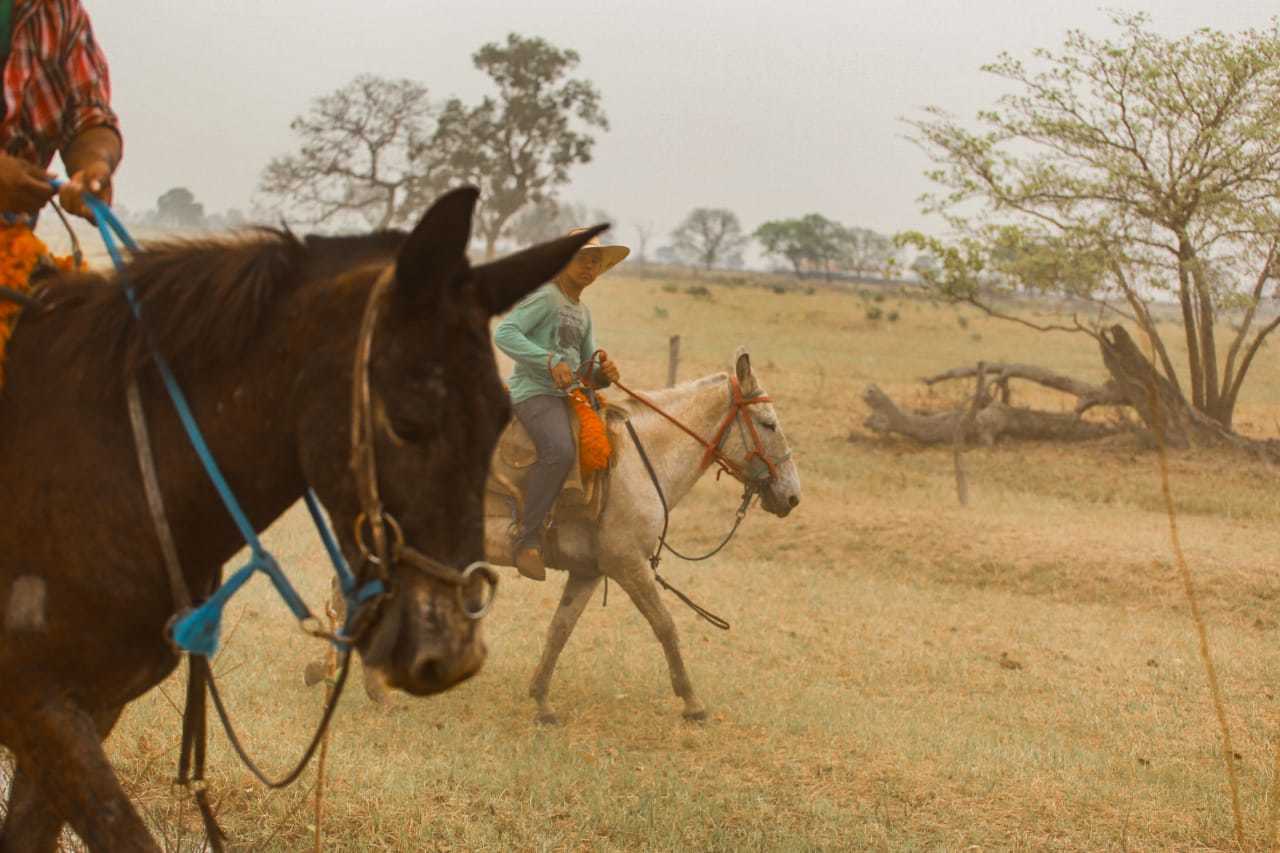 O PEÃO CONDUZ A BOIADA E O ROBUSTO BÚFALO EM DIREÇÃO À PASTAGEM 