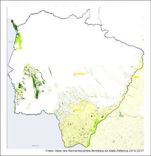 Operação em MS e mais 16 estados mira desmatamento na Mata Atlântica