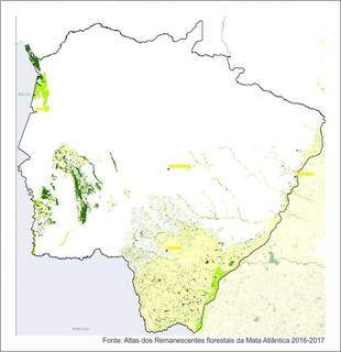 Área do bioma em Mato Grosso do Sul que pode ser fiscalizada (Foto/Divulgação)