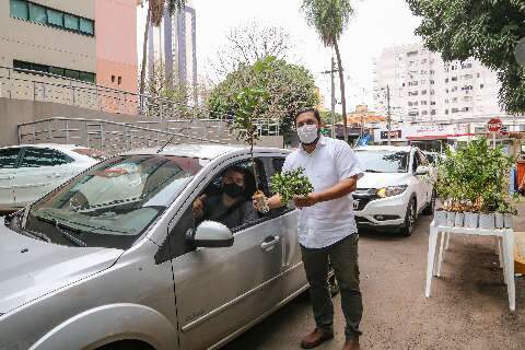 Drive thru da prefeitura entrega mudas frutíferas de graça na Central do Cidadão
