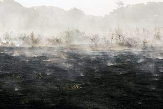 Área devastada no Pantanal do Mato Grosso (Foto: Ahmad Jarrah e Bruna Obadowski/A Lente)