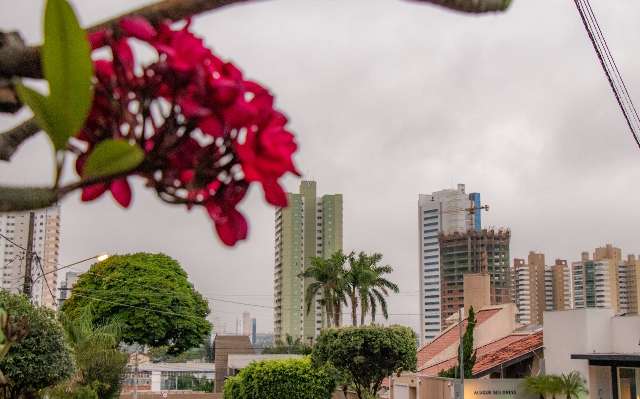 Chuva chegou mais forte na região Sul, em Itaporã, Dourados e Ivinhema 