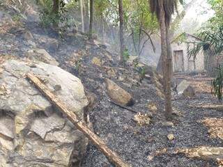 Foto tirada durante o dia mostra situação do local incendiado e proximidade com residência (Foto: Divulgação)