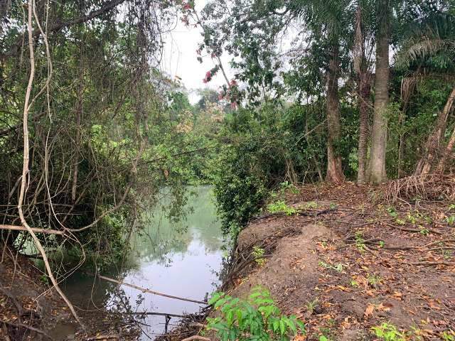 Fazendeiro &eacute; multado em R$ 50 mil por degrada&ccedil;&atilde;o de mata ciliar no Rio Salobra
