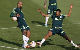 Felipe Melo e Roni disputam a bola em treino do Palmeiras (Foto: Divulgação)