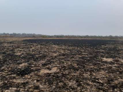 Fazendeira é multada em R$ 56 mil por causar incêndio no Pantanal